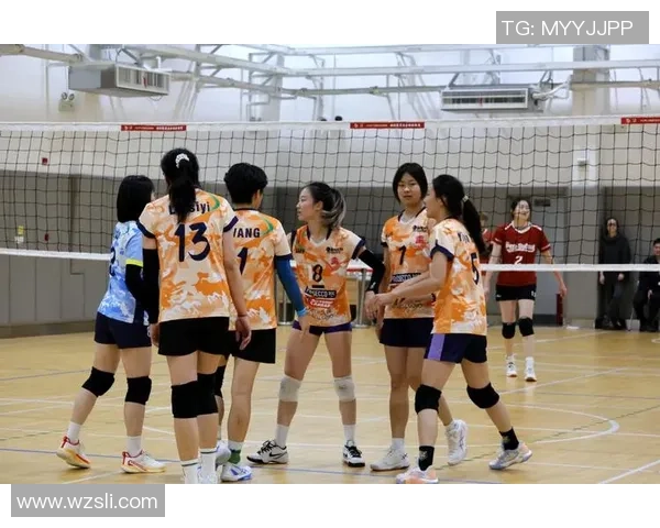 武汉排球队的蜕变之旅探索城市联赛新机遇与挑战